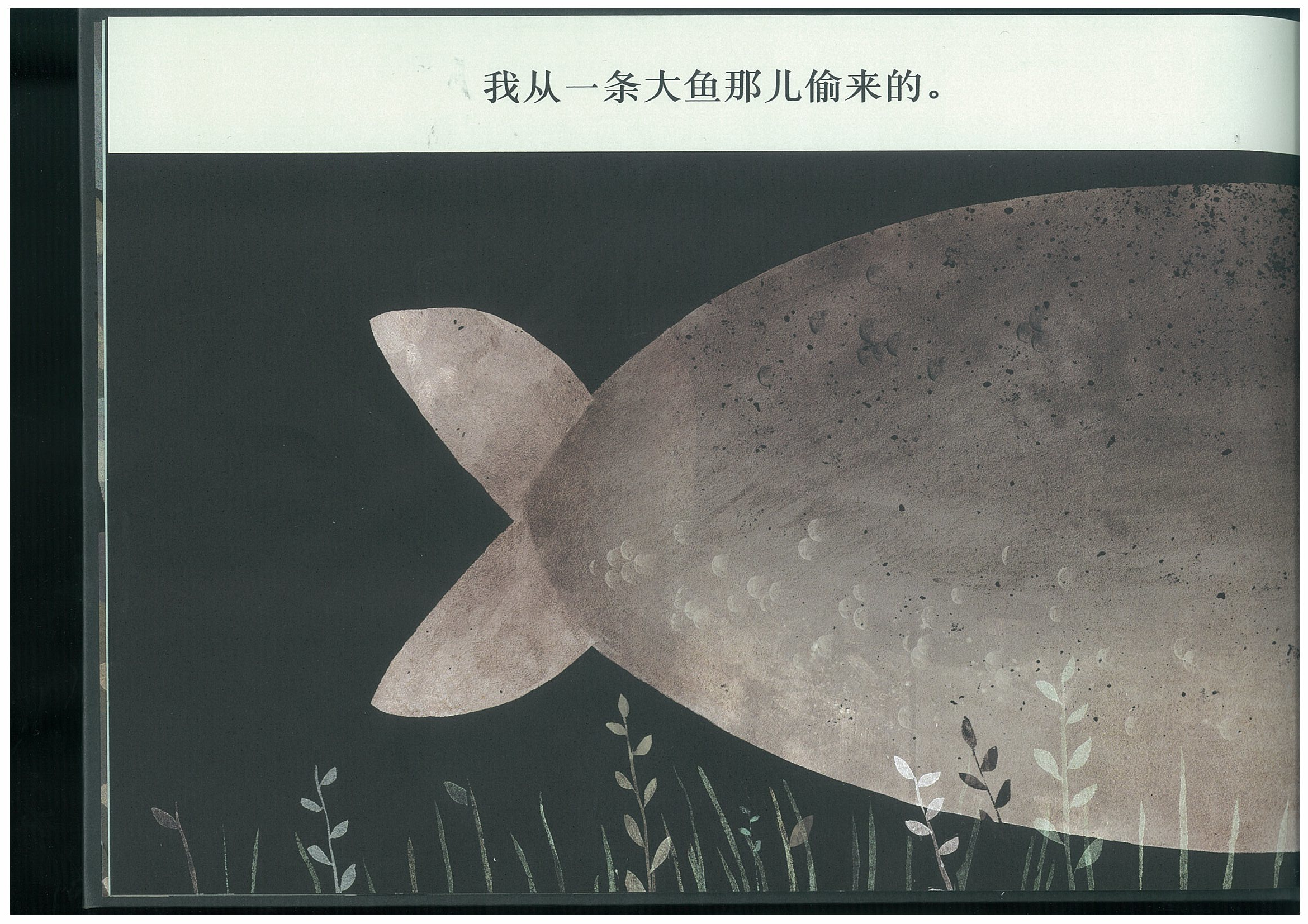 这不是我的帽子 (08),绘本,绘本故事,绘本阅读,故事书,童书,图画书,课外阅读